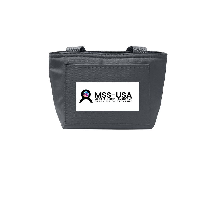 Insulated Lunch Tote, a Grey Steel Insulated Lunch Tote