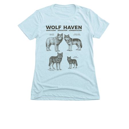 Wolf Haven's Canid Species, a Ice Blue Women's Slim Fit Tee