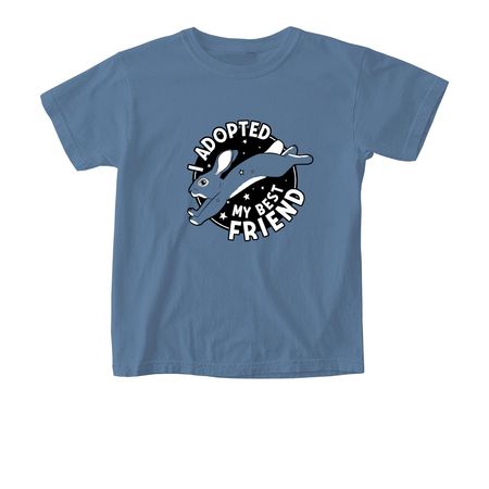I Adopted My Best Friend, a Blue Jean Comfort Colors Youth Tee