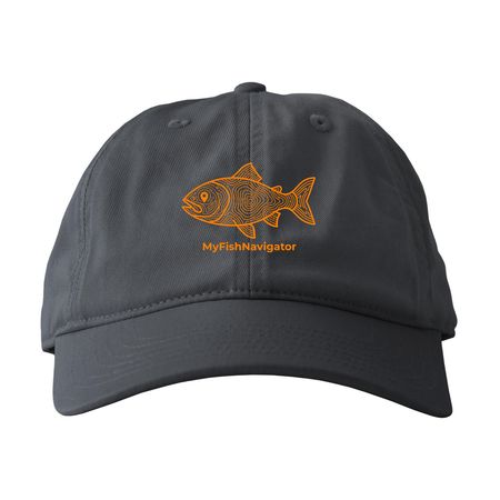 orange logo hats, a Charcoal Printed Eco Baseball Cap