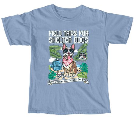 Field Trips for Shelter Dogs, a Washed Denim Comfort Colors Youth Tee