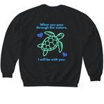 Ireland Trip, a Black Softstyle Crewneck Sweatshirt (back-view)