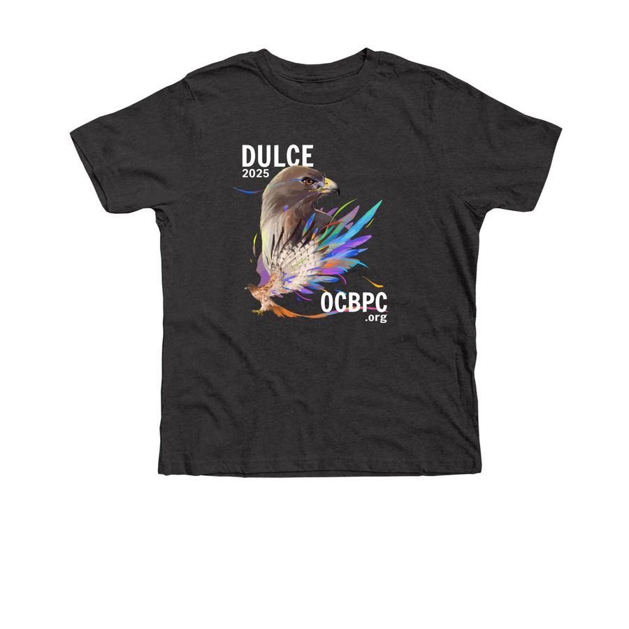 RETIRED - Dulce dark shirts, Youth, a Dark Grey Heather Premium Youth Tee