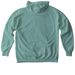 Raven Radio Classic Logo Hoodie & Crewneck, a Seafoam Comfort Colors Pullover Hoodie (back-view)