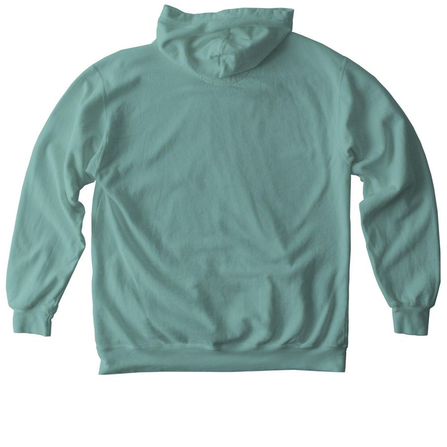 Raven Radio Classic Logo Hoodie & Crewneck, a Seafoam Comfort Colors Pullover Hoodie (back-view)