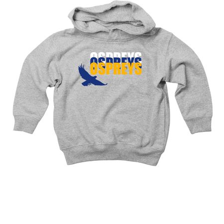 Toddler Stacked Osprey Hoodie, a Heather Toddler Pullover Hoodie