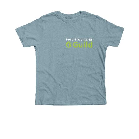 Youth tee green logo, a Heather Blue Lagoon Premium Youth Tee