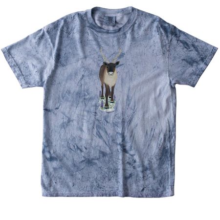 Caribou Front Graphic, a Ocean Comfort Colors Colorblast Tee
