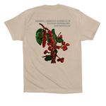 50HERTZ x BSC, a Tan Premium Cotton Tee (back-view)