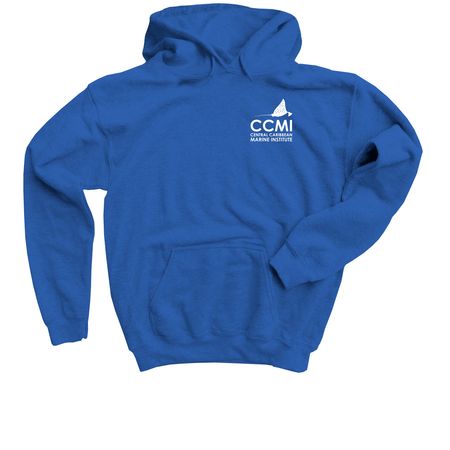 Seahorse - protect our reefs, a Royal Blue Youth Pullover Hoodie