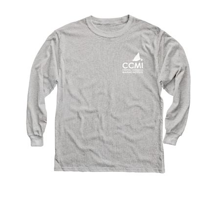 Seahorse - protect our reefs, a Sport Grey Youth Long Sleeve Tee