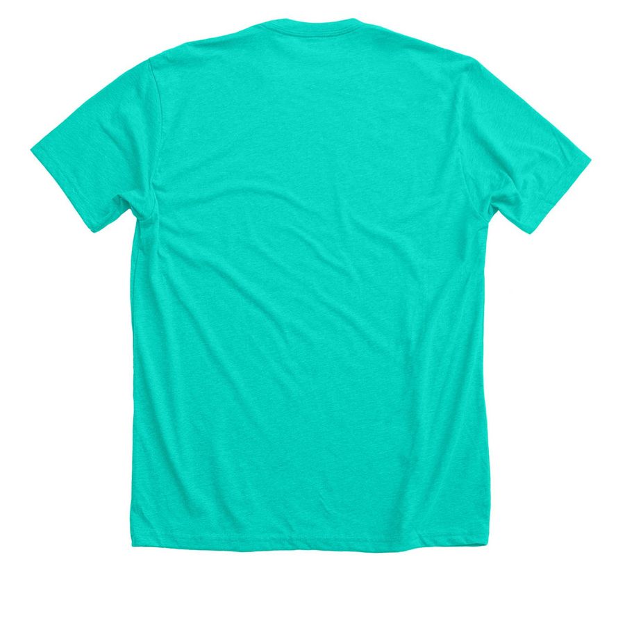 QUESTIONABLE DESIGNS&nbsp;, a Heather Sea Green Premium Unisex Tee (back-view)
