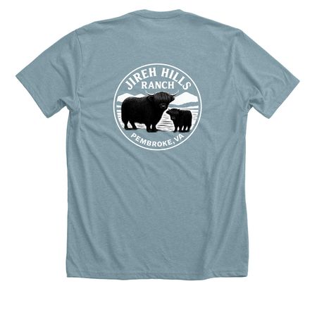 Live Justly. Love Deeply. Steward Wisely., a Heather Blue Lagoon Premium Unisex Tee (back-view)