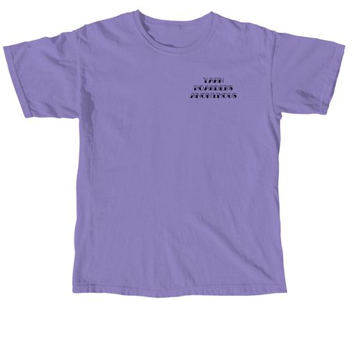 Yarn Hoarders Anonymous Official Merch #1! 😍 Violet Comfort Colors Tee