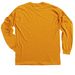 DIARRHEA SHIRT, a Gold Classic Long Sleeve Tee (back-view)