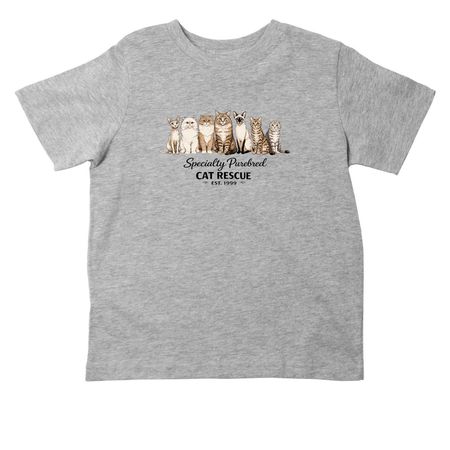 SPCR Toddler, a Heather Toddler Tee