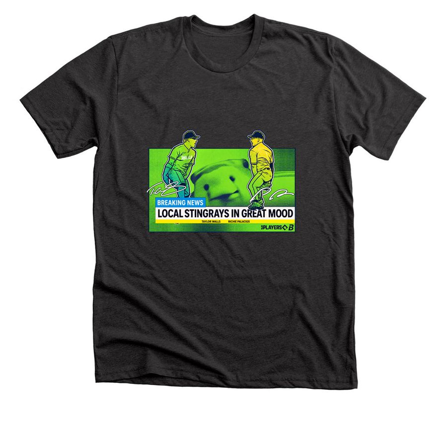 Official Tampa and Bay Baseball Local Stingra, a Dark Grey Heather Premium Unisex Tee