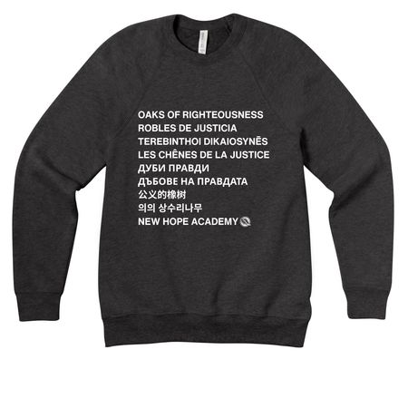 Oaks of Righteousness, a Dark Grey Heather Premium Raglan Crewneck Sweatshirt