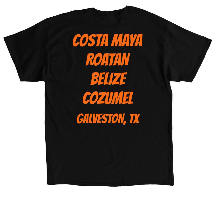4.0 BOOS CRUISE&nbsp;, a Black Classic Unisex Tee (back-view)