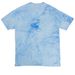 PH School is Cool, a Fiji Blue Comfort Colors Colorblast Tee (back-view)