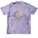 Anastasia Tees, a Amethyst Comfort Colors Colorblast Tee (back-view)