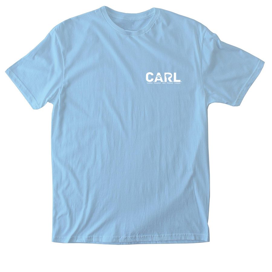 1996 Collection, a Light Blue Softstyle Cotton Tee