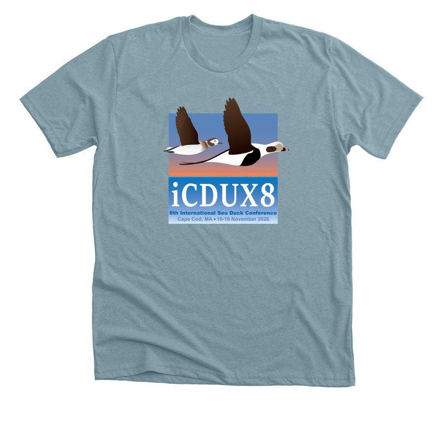iCDUX8: Tees & Long-sleeve front logo (light), a Heather Blue Lagoon Premium Unisex Tee
