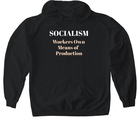 SOCIALISM DEFINED, a Black Gildan Softstyle Pullover Hoodie
