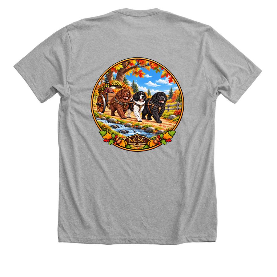 2026 NCSC Fall Draft Test, a Athletic Heather Premium Unisex Tee (back-view)