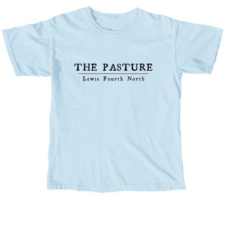 L4N T-Shirt, a Chambray Comfort Colors Unisex Tee