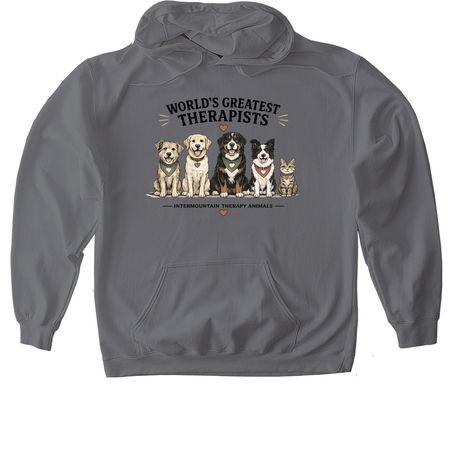 World's Greatest Therapists, a Charcoal Gildan Softstyle Pullover Hoodie