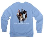 Spring herd 2026, a Carolina Blue Premium Raglan Crewneck Sweatshirt (back-view)