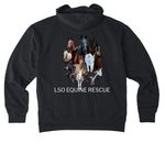 Spring herd 2026, a Black Reclaimist Pullover Hoodie (back-view)