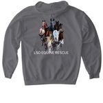 Spring herd 2026, a Charcoal Gildan Softstyle Pullover Hoodie (back-view)