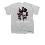 Spring herd 2026, a Sport Grey Youth Unisex Tee (back-view)