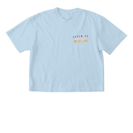 Psalm 23, a Chambray Comfort Colors Boxy Tee