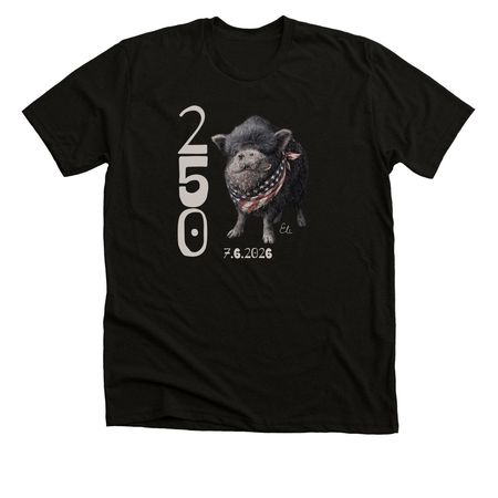 America250MPFL, a Black Heather Premium Unisex Tee