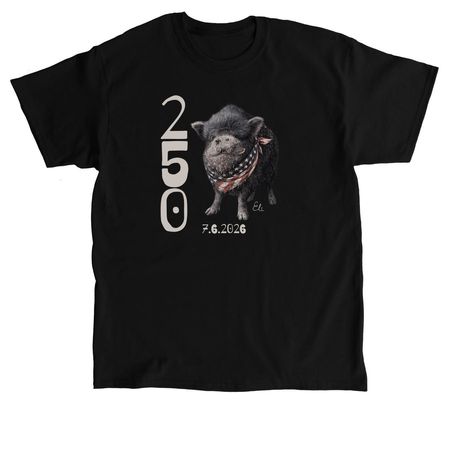 America250MPFL, a Black Classic Unisex Tee