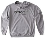 Pheasant Flock Party DBA log, a Sport Grey Gildan Softstyle Pullover Hoodie (back-view)