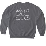 Summit Child Care Center Shirt, a Charcoal Softstyle Crewneck Sweatshirt (back-view)