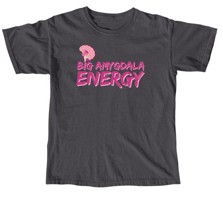 2026 = BIG AMYGDALA ENERGY!, a Graphite Comfort Colors Unisex Tee