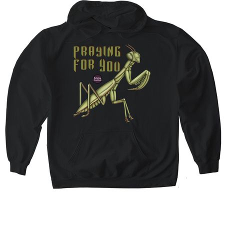 Praying Mantis, a Black Gildan Softstyle Pullover Hoodie