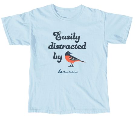 Easily Distracted by...Orioles, a Chambray Comfort Colors Unisex Tee