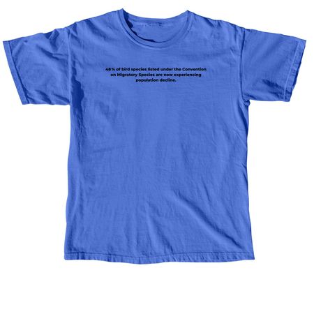 Protect the Flyway, a Flo Blue Comfort Colors Unisex Tee