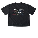 Literally iconic pride merch, a Black Comfort Colors Boxy Tee (back-view)