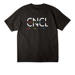 Literally iconic pride merch, a Black Unisex Heavyweight Tee (back-view)