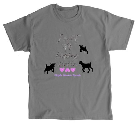 Kidding&nbsp;, a Charcoal Classic Unisex Tee