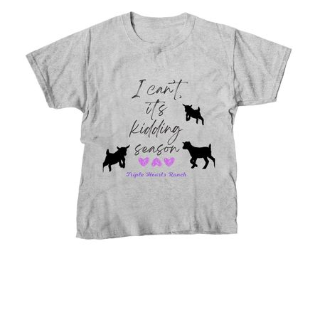 Kidding&nbsp;, a Sport Grey Youth Unisex Tee