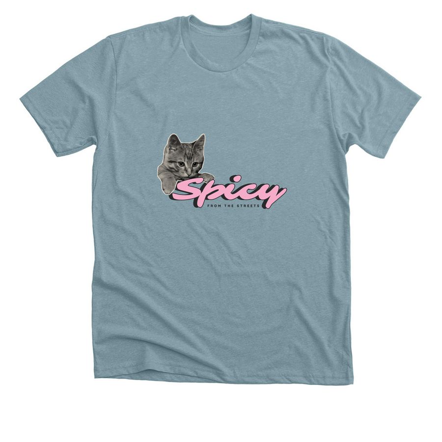 "Spicy from the Streets" (2), a Heather Blue Lagoon Premium Unisex Tee