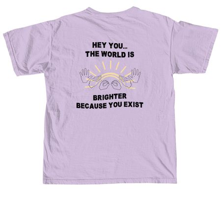 Limited Edition: Please Stay, a Orchid Comfort Colors Unisex Tee